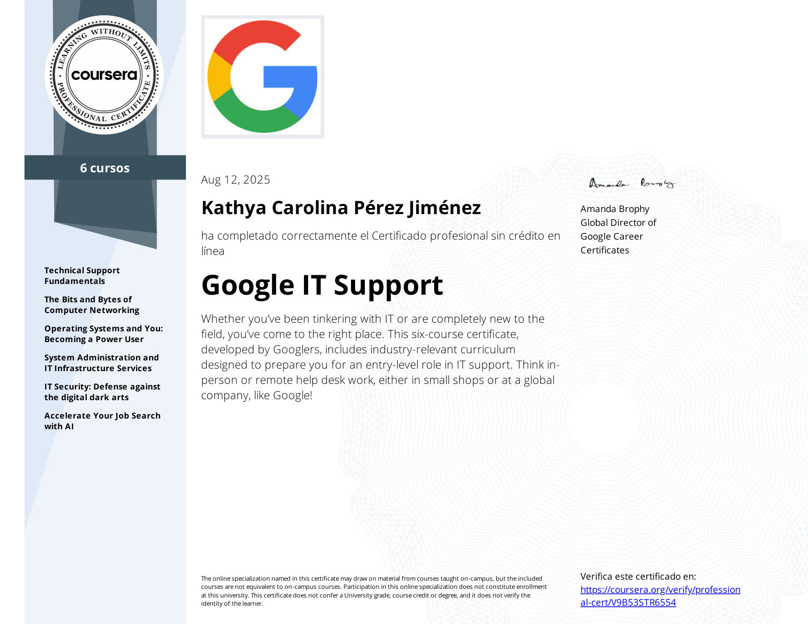Google IT Support